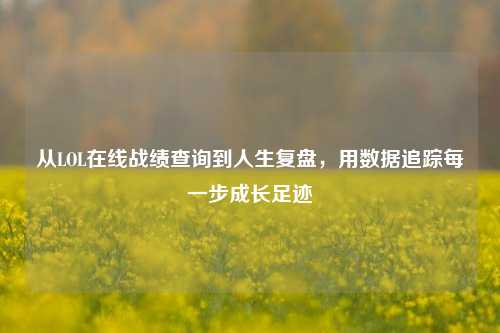 从LOL在线战绩查询到人生复盘，用数据追踪每一步成长足迹