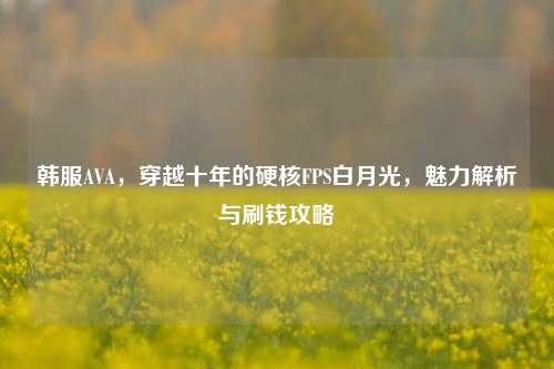 韩服AVA,穿越十年的硬核FPS白月光,魅力解析与刷钱攻略