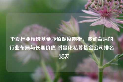 华夏行业精选基金净值深度剖析,波动背后的行业布局与长期价值 附量化私募基金公司排名一览表