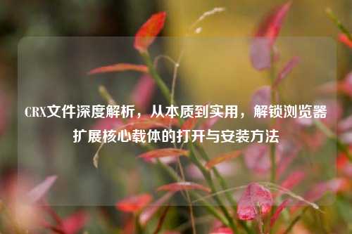 CRX文件深度解析，从本质到实用，解锁浏览器扩展核心载体的打开与安装方法