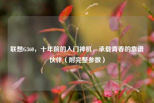 联想G360,十年前的入门神机,承载青春的靠谱伙伴(附完整参数)