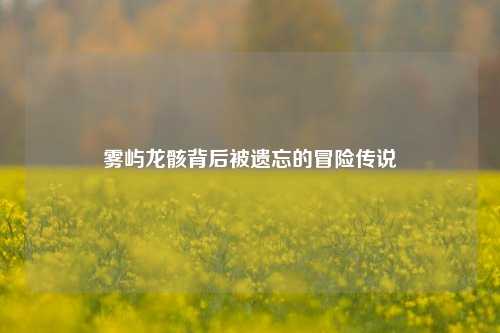 雾屿龙骸背后被遗忘的冒险传说