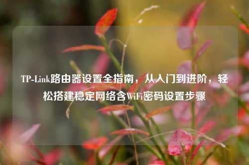 TP-Link路由器设置全指南,从入门到进阶,轻松搭建稳定网络含WiFi密码设置步骤