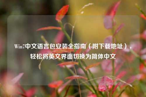 Win7中文语言包安装全指南（附下载地址），轻松将英文界面切换为简体中文