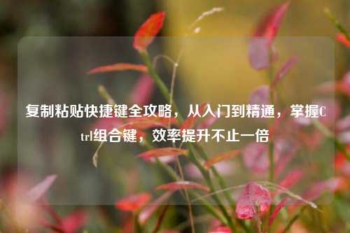 复制粘贴快捷键全攻略，从入门到精通，掌握Ctrl组合键，效率提升不止一倍