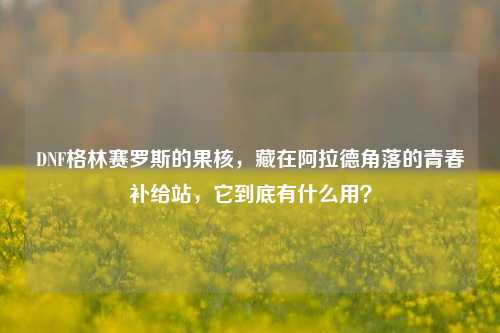 DNF格林赛罗斯的果核，藏在阿拉德角落的青春补给站，它到底有什么用？