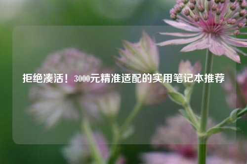 拒绝凑活！3000元精准适配的实用笔记本推荐