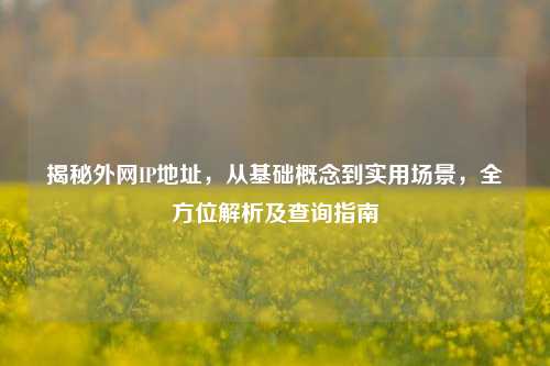 揭秘外网IP地址,从基础概念到实用场景,全方位解析及查询指南