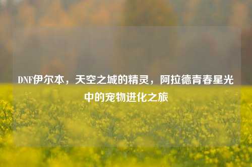 DNF伊尔本,天空之城的精灵,阿拉德青春星光中的宠物进化之旅