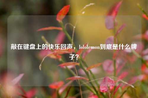 敲在键盘上的快乐回声,lololemon到底是什么牌子?