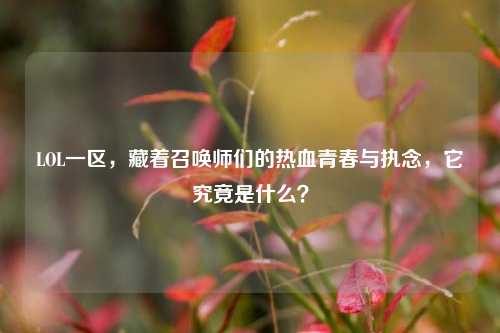 LOL一区，藏着召唤师们的热血青春与执念，它究竟是什么？