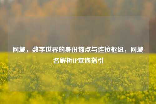 网域，数字世界的身份锚点与连接枢纽，网域名解析IP查询指引