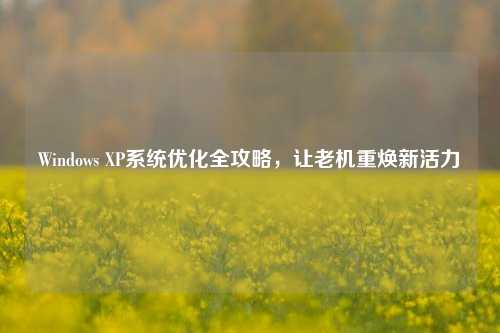 Windows XP系统优化全攻略,让老机重焕新活力