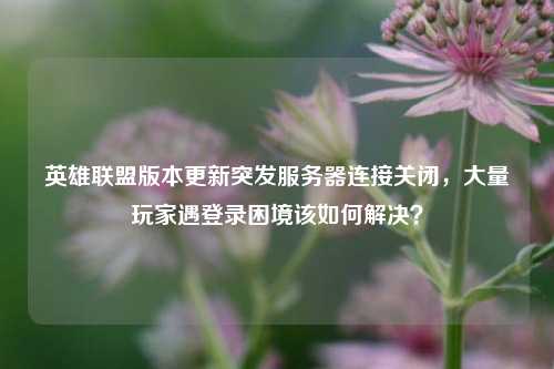 英雄联盟版本更新突发服务器连接关闭，大量玩家遇登录困境该如何解决？