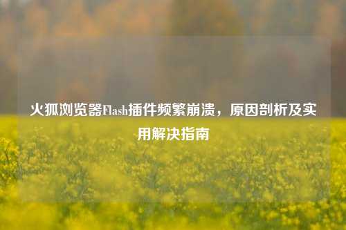 火狐浏览器Flash插件频繁崩溃，原因剖析及实用解决指南