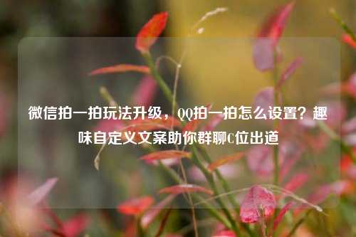 微信拍一拍玩法升级,QQ拍一拍怎么设置?趣味自定义文案助你群聊C位出道