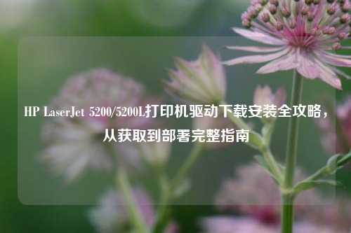 HP LaserJet 5200/5200L打印机驱动下载安装全攻略，从获取到部署完整指南