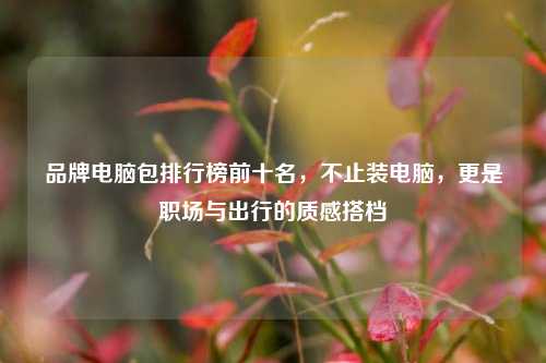 品牌电脑包排行榜前十名,不止装电脑,更是职场与出行的质感搭档