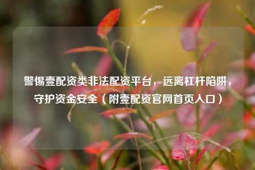 警惕壹配资类非法配资平台，远离杠杆陷阱，守护资金安全（附壹配资官网首页入口）