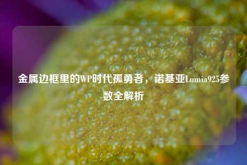 金属边框里的WP时代孤勇者，诺基亚Lumia925参数全解析