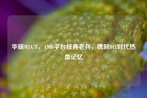 华硕M3A78,AMD平台经典老兵,镌刻DIY时代热血记忆