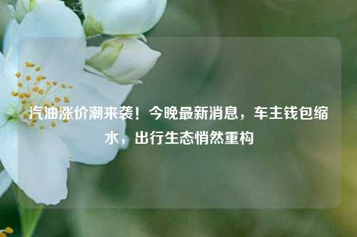 汽油涨价潮来袭!今晚最新消息,车主钱包缩水,出行生态悄然重构