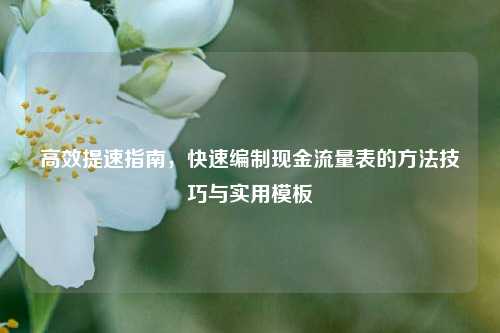高效提速指南，快速编制现金流量表的方法技巧与实用模板