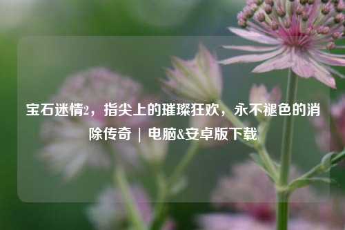 宝石迷情2,指尖上的璀璨狂欢,永不褪色的消除传奇 | 电脑&安卓版下载