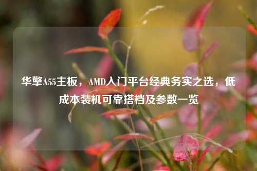 华擎A55主板,AMD入门平台经典务实之选,低成本装机可靠搭档及参数一览