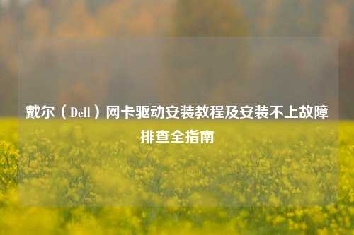 戴尔（Dell）网卡驱动安装教程及安装不上故障排查全指南