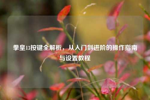 拳皇13按键全解析,从入门到进阶的操作指南与设置教程