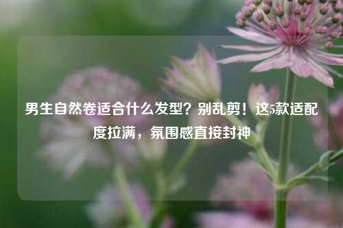 男生自然卷适合什么发型？别乱剪！这5款适配度拉满，氛围感直接封神