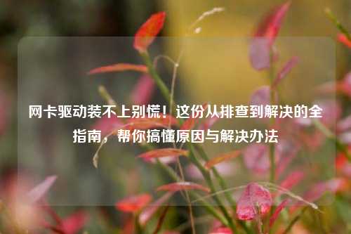 网卡驱动装不上别慌！这份从排查到解决的全指南，帮你搞懂原因与解决办法