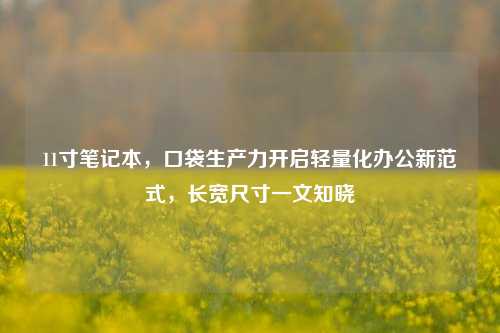 11寸笔记本，口袋生产力开启轻量化办公新范式，长宽尺寸一文知晓