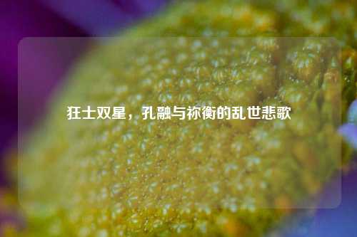 狂士双星,孔融与祢衡的乱世悲歌