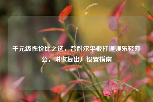 千元级性价比之选，普耐尔平板打通娱乐轻办公，附恢复出厂设置指南