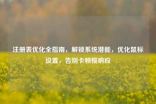 注册表优化全指南，解锁系统潜能，优化鼠标设置，告别卡顿慢响应