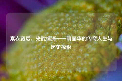 素衣贤后,光武情深——阴丽华的传奇人生与历史掠影