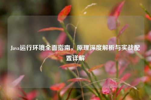 Java运行环境全面指南,原理深度解析与实战配置详解