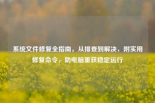 系统文件修复全指南，从排查到解决，附实用修复命令，助电脑重获稳定运行