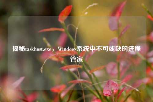 揭秘taskhost.exe，Windows系统中不可或缺的进程管家