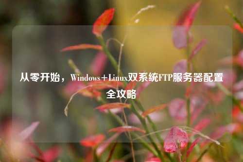 从零开始,Windows+Linux双系统FTP服务器配置全攻略