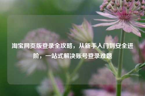 淘宝网页版登录全攻略，从新手入门到安全进阶，一站式解决账号登录难题
