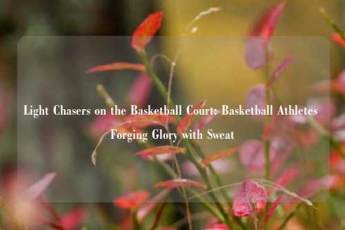 Light Chasers on the Basketball Court: Basketball Athletes Forging Glory with Sweat