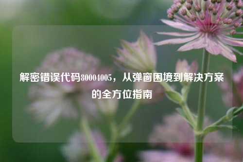 解密错误代码80004005，从弹窗困境到解决方案的全方位指南