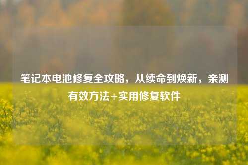 笔记本电池修复全攻略，从续命到焕新，亲测有效方法+实用修复软件