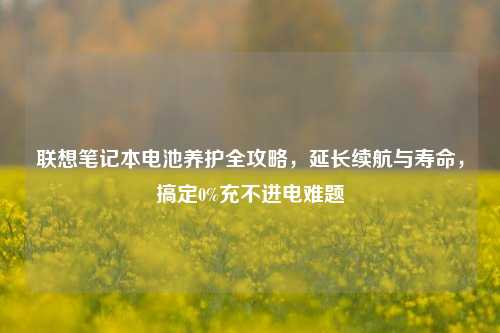 联想笔记本电池养护全攻略,延长续航与寿命,搞定0%充不进电难题