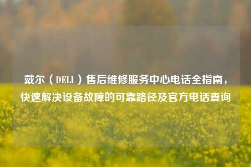 戴尔(DELL)售后维修服务中心电话全指南,快速解决设备故障的可靠路径及官方电话查询