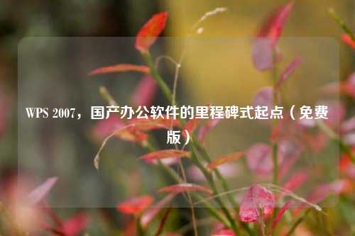 WPS 2007,国产办公软件的里程碑式起点(免费版)