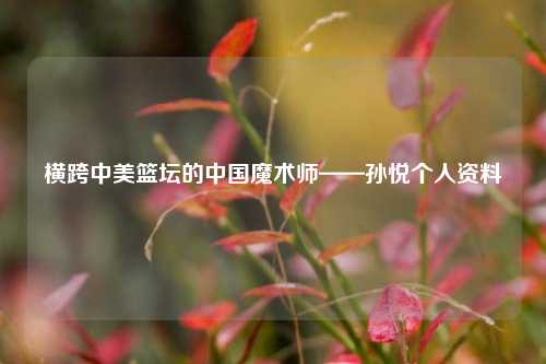 横跨中美篮坛的中国魔术师——孙悦个人资料